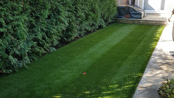 Artificial Grass